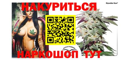 мдпв Новокубанск