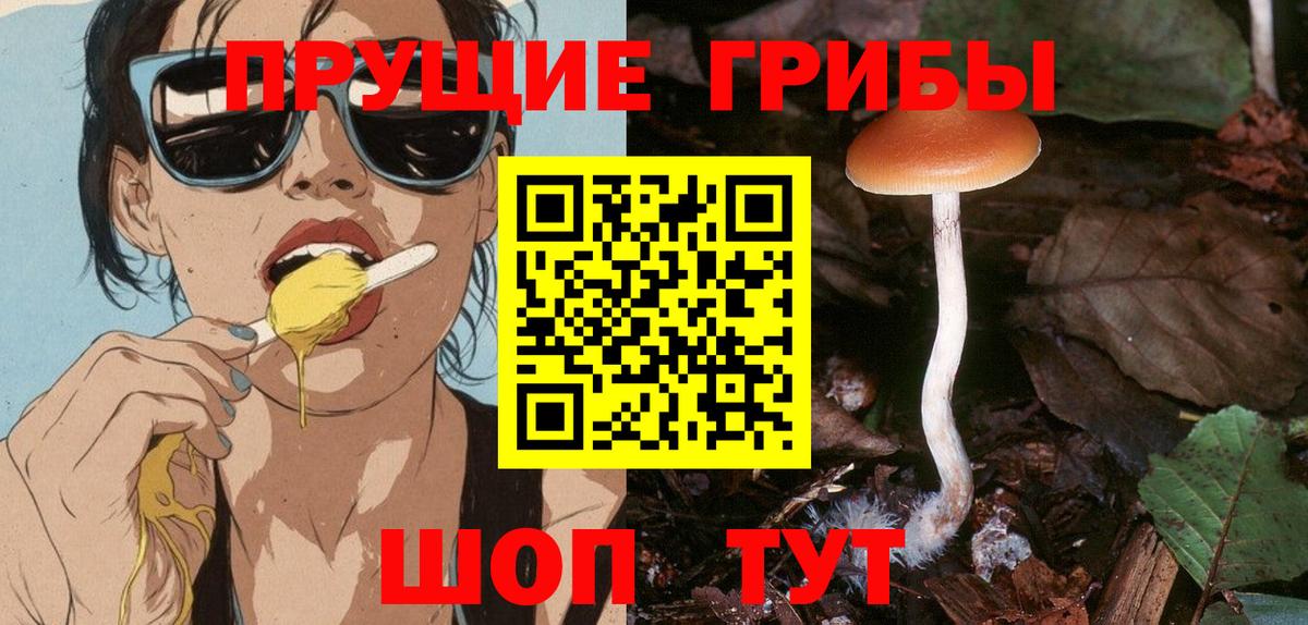 хочу наркоту  Галлюциногенные грибы Psilocybine cubensis  Вход с VPN  Липецк  Псилоцибиновые грибы Psilocybine cubensis 